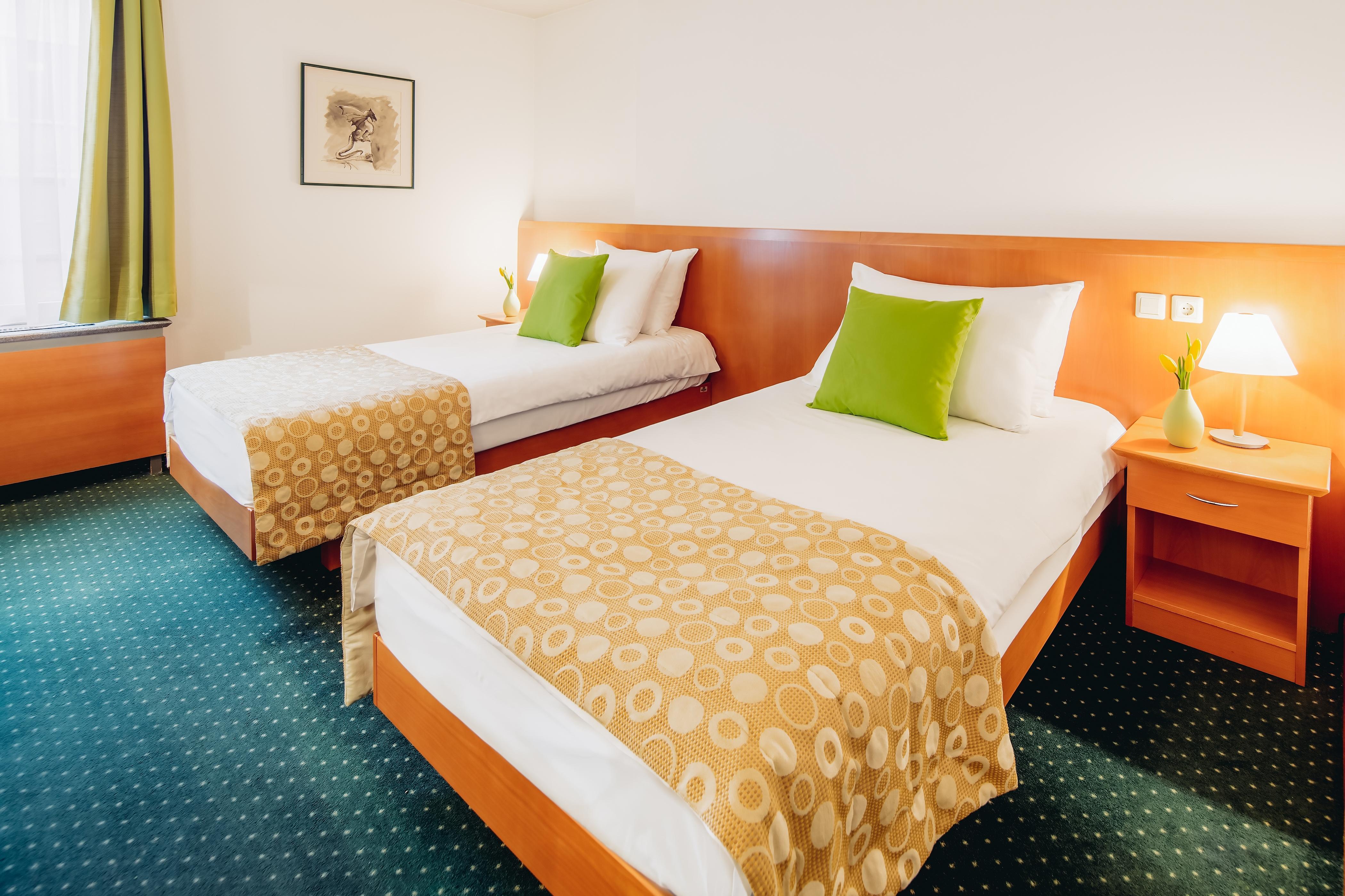 Ibis Styles Ljubljana Centre Hotel Ngoại thất bức ảnh